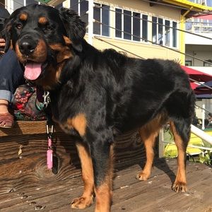 💕CLOSET CLOSING SALE💕